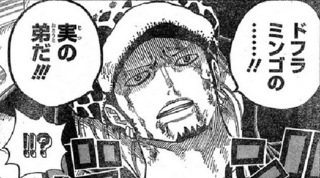 c78b8761-s.png